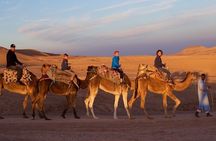 Marrakech: Agafay desert experience Quad and camel & dinner show