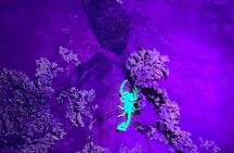 Sedona Night Hike and Stargazing