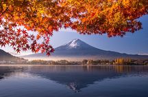 Mt. Fuji Signature 6 Scenic Spots One Day Tour from Tokyo
