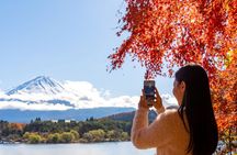 Mt. Fuji Highlight Photo Spots One Day Tour from Tokyo