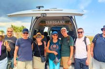 Ishigaki Island Shore Excursion, Trails and Scenic Spots