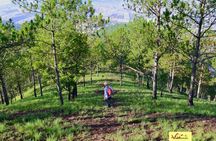 Dalat: Cloud Hunting & Sunrise Trekking to Hon Ho Mountain