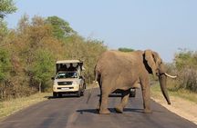 4 Day luxury Ivory Moon Safari in Kruger National Park