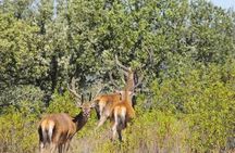 Adventure at Quiçama National Park Safari and Nature