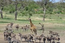 Adventure at Quiçama National Park Safari and Nature
