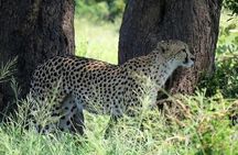 Adventure at Quiçama National Park Safari and Nature