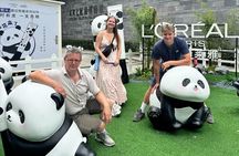 One Day Chengdu Itinerary Panda and Buddha Adventure