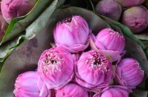 Bangkok Lotus Fields, Orchid Farm, and Flower Market Tour