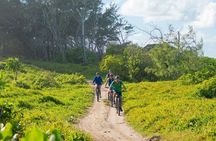 Wild South E-bike Adventure