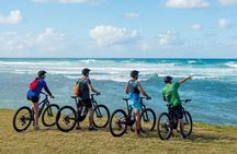 Wild South E-bike Adventure