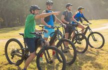 Wild South E-bike Adventure