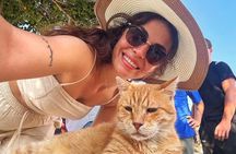 For Cruisers: Garfield & Cats of Ephesus Tour with LUNCH