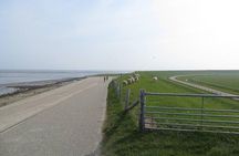 Private 10 Hour Tour Texel Island from Amsterdam