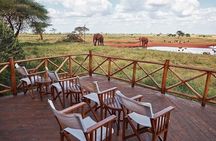 4 Days Tsavo East Amboseli and Tsavo West Safari from Diani