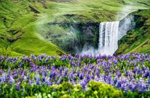 6-Day Reykjavík City Break with Golden Circle