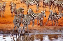 4 Days Tsavo East Amboseli and Tsavo West Safari from Diani
