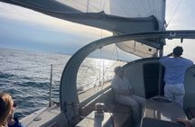 Lérins Islands sailing discovery, snorkeling and paddle SUP