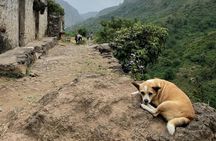 Ecological Walk from Serra Malagueta to Ribeira Principal