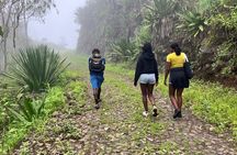 Ecological Walk from Serra Malagueta to Ribeira Principal