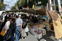 Kochi Castle, Shrine & Hirome Market: Half-Day Guided Tour