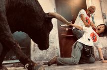Walking tour of Pamplona: beyond the bulls 
