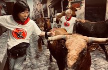Walking tour of Pamplona: beyond the bulls 