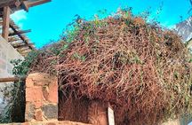 Explore Saint Catherine Monastery and Dahab in One Day