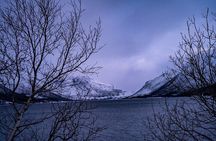 Arctic Fjords Sightseeing Adventure with Arctic Navigator 