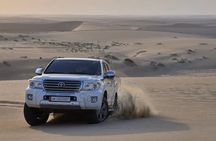 Qatar Desert Safari – Dune Bashing, Camel Ride & Quad Bike