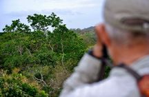 Sandakan Private City Tour, Orangutan, Sun Bears and Rainforest