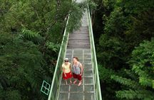 Sandakan Private City Tour, Orangutan, Sun Bears and Rainforest