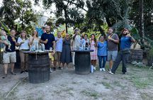 Suchitoto and Rum Tasting Tour with Colonial Charm 