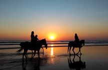 Horseback riding tour