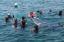 Caye Caulker 3 Stops Belize Barrier Reef Snorkeling Adventure