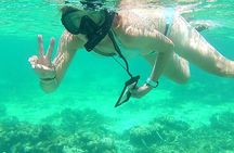 Hol Chan Marine Reserve Snorkeling Adventure