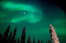 Rovaniemi The Real Northern Lights Photo Hunting 