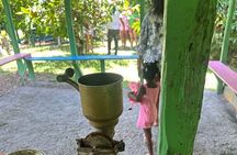 Punta cana scenic tour with lunch horses and cenote