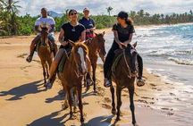 Punta cana scenic tour with lunch horses and cenote