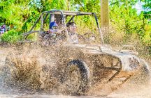 Buggy Adventure: Beach, Cave and Typical Products