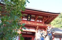 Kamakura Early Morning Tour (Tokyo Departure Option Available)