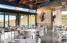 The Best Wine Walking Tour in Stellenbosch