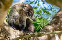 The Longest and Fastest Hidden Jungle Water Slide in Costa Rica