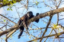 The Longest and Fastest Hidden Jungle Water Slide in Costa Rica