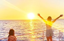 Waikiki Turtle Snorkeling Tour 6 Activities + & Sunset Cruise
