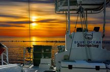 Waikiki Turtle Snorkeling Tour 6 Activities + & Sunset Cruise