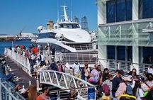 Robben Island half Day Tour Pre-Booked Ticket & Luxury Transport