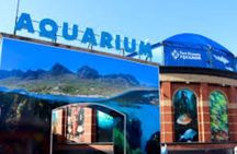 Robben Island half Day Tour Pre-Booked Ticket & Luxury Transport