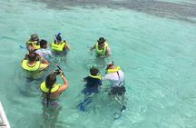 Mix and match private island tour