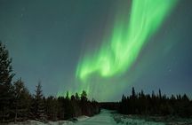 Auroras Family School of Small Hunters with BBQ