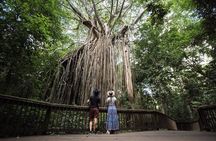 7 Day Brisbane to Cairns Boutique Whitsundays Great Barrier Reef